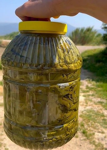 SALAMURA YAPRAK 5 KİLO