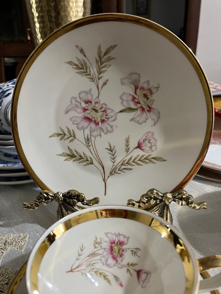 Bavaria,Altın Kenarlı Çiçek Desenli Beyaz Porselen Fincan Takımı - Görsel 5