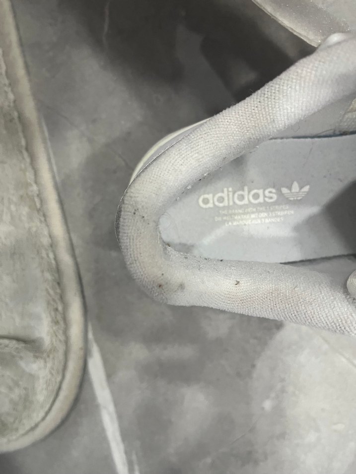 Beyaz Adidas Forum Low - Görsel 5