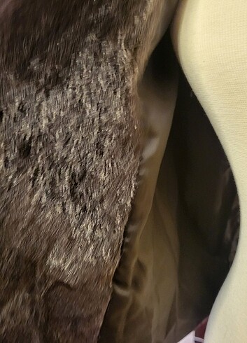 Tay tüyü kürk - Görsel 6