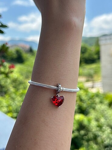 pandora charm