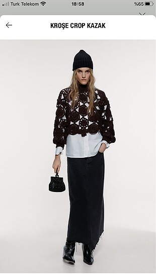 Zara crop kazak