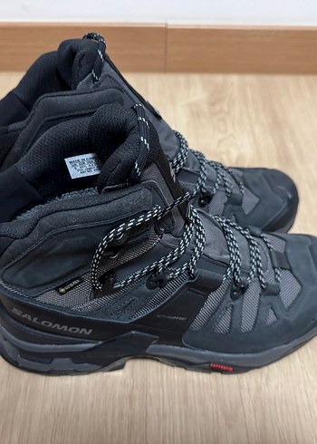 Salomon 43