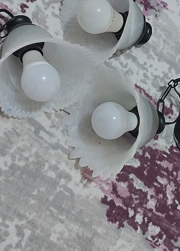 Tekli Avize