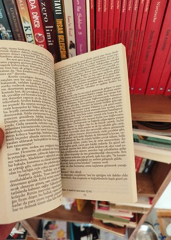 Vadideki Zambak - Honoré de Balzac - Görsel 3