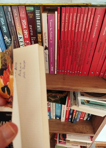 Vadideki Zambak - Honoré de Balzac - Görsel 4