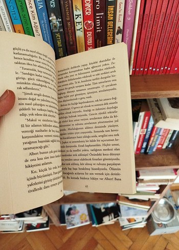 Genç Werther'in Acıları - Goethe - Görsel 3