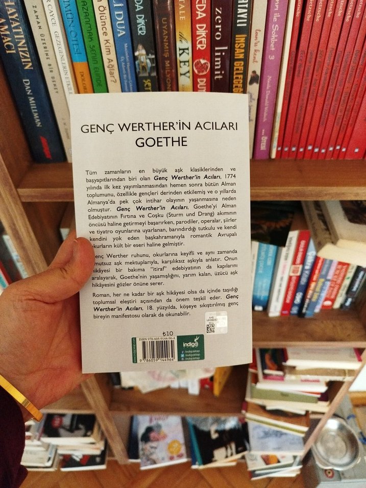 Genç Werther'in Acıları - Goethe - Görsel 2