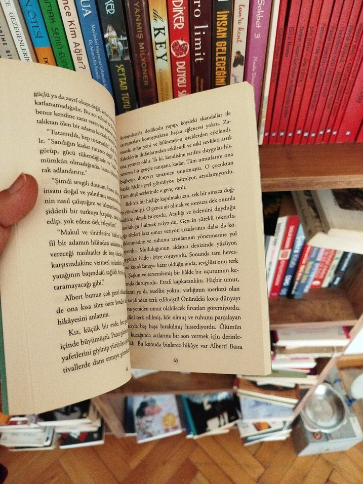 Genç Werther'in Acıları - Goethe - Görsel 3