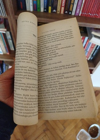 Notre Dame'in Kamburu - Victor Hugo - Görsel 4