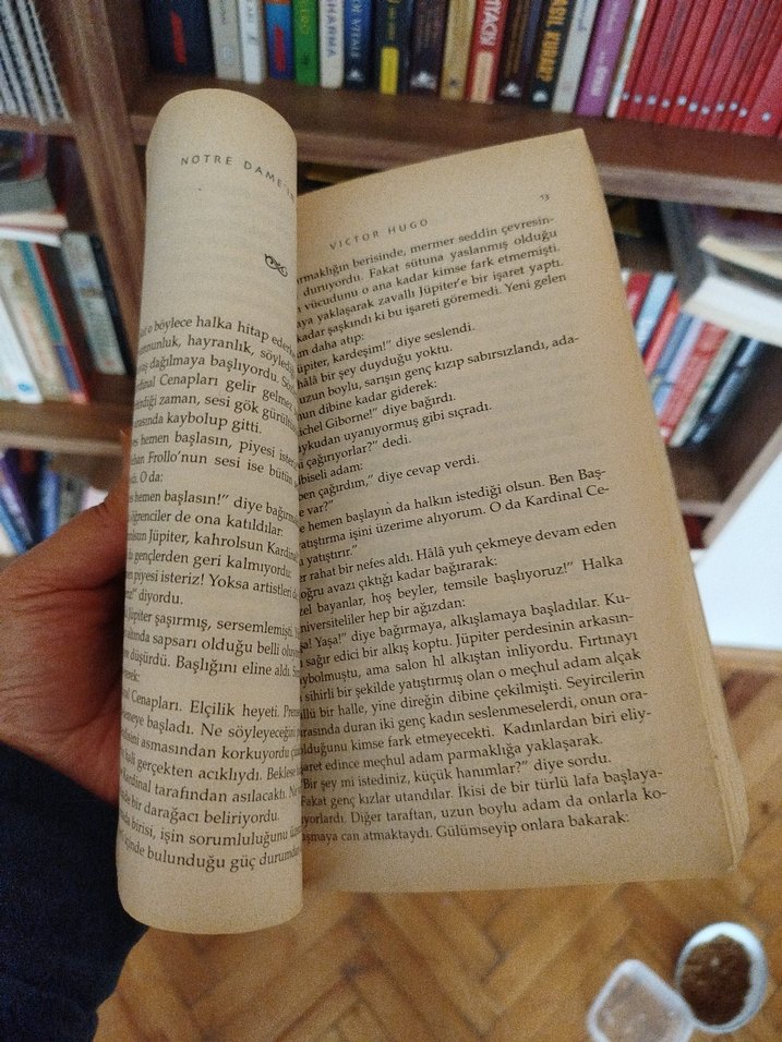 Notre Dame'in Kamburu - Victor Hugo - Görsel 4