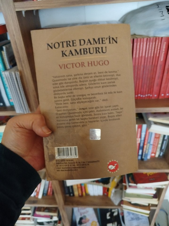 Notre Dame'in Kamburu - Victor Hugo - Görsel 2