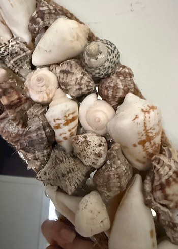 Bej ve gri kabuklu dekoratif ayna - Görsel 2