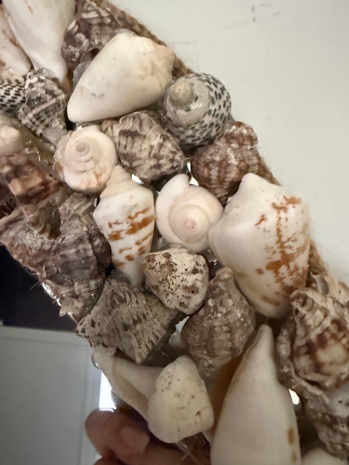 Bej ve gri kabuklu dekoratif ayna - Görsel 2