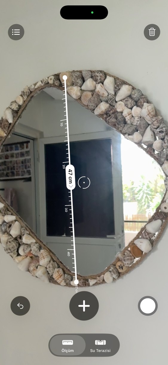 Bej ve gri kabuklu dekoratif ayna - Görsel 3