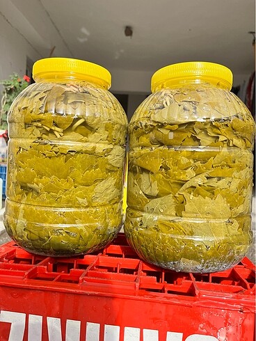 Üzüm yaprağı