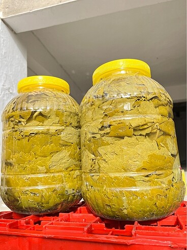  Beden sarı Renk Üzüm yaprağı