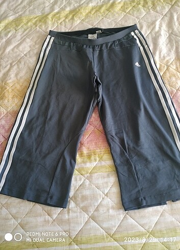 Adidas bermuda