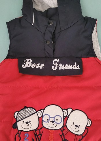 Erkek Çocuk Renkli Kapüşonlu Yelek - Görsel 2