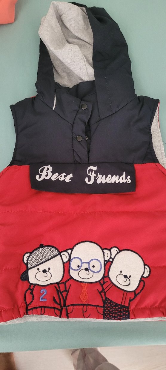 Erkek Çocuk Renkli Kapüşonlu Yelek - Görsel 2