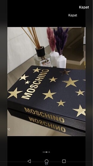 Kitap kutu