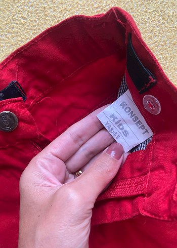 5 Yaş Beden kırmızı Renk Erkek Çocuk Kırmızı Regular Fit Pantolon