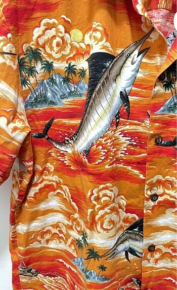 Diğer Hawaii Gömlek