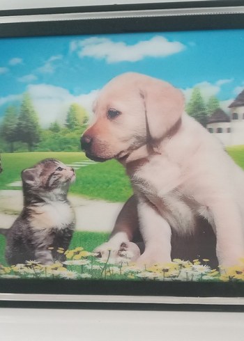 Renkli Kedi ve Köpek Temalı Dekoratif Tablo üç boyutlu - Görsel 5