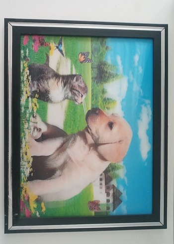 Renkli Kedi ve Köpek Temalı Dekoratif Tablo üç boyutlu - Görsel 6