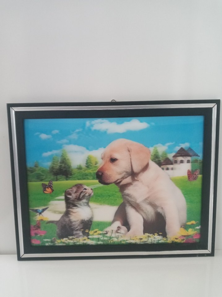 Renkli Kedi ve Köpek Temalı Dekoratif Tablo üç boyutlu - Görsel 3