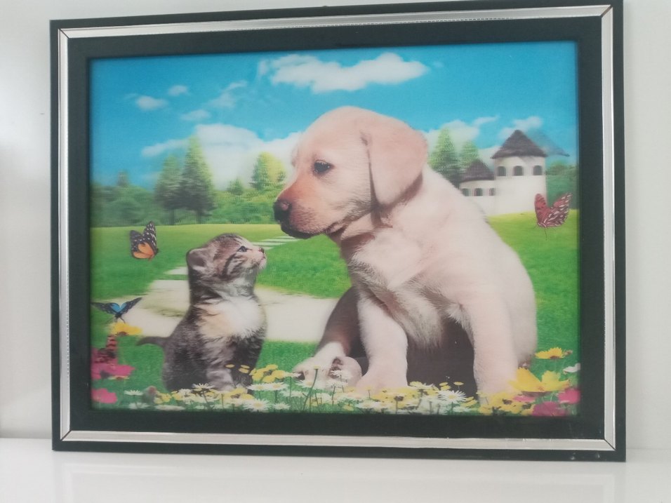 Renkli Kedi ve Köpek Temalı Dekoratif Tablo üç boyutlu - Görsel 5