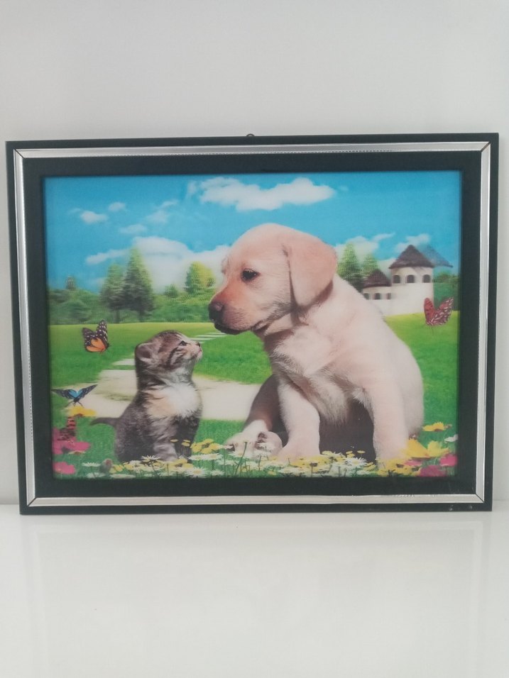 Renkli Kedi ve Köpek Temalı Dekoratif Tablo üç boyutlu - Görsel 4