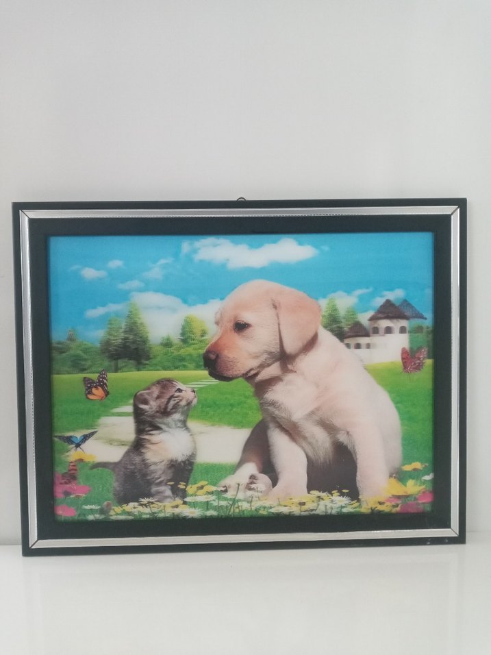 Renkli Kedi ve Köpek Temalı Dekoratif Tablo üç boyutlu - Görsel 2