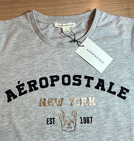 l Beden gri Renk Aeropostale T-shirt
