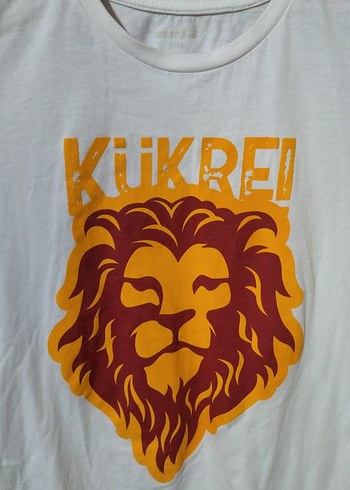 Baskılı Erkek Çocuk Beyaz Tişört - Görsel 2