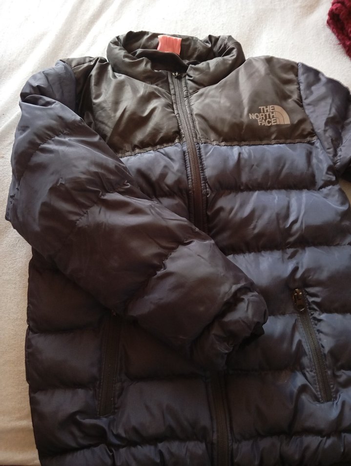 The North Face Erkek lacivert Fermuarlı Mont - Görsel 3