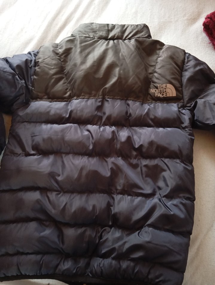 The North Face Erkek lacivert Fermuarlı Mont - Görsel 4