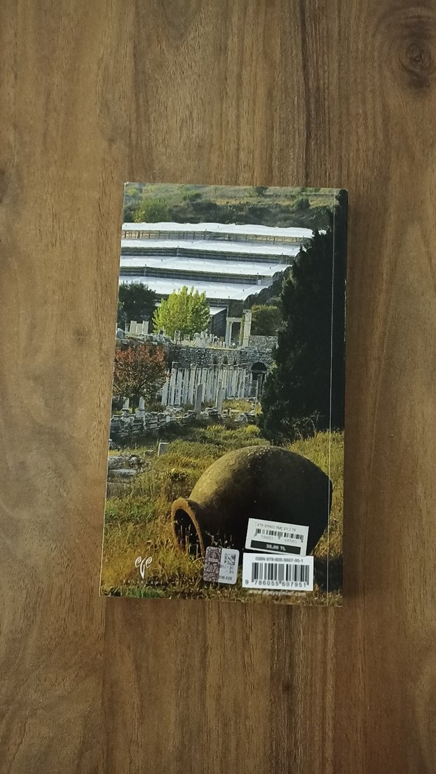 Ephesos Yamaç Ev 2 - Arkeoloji Kitabı - Görsel 2