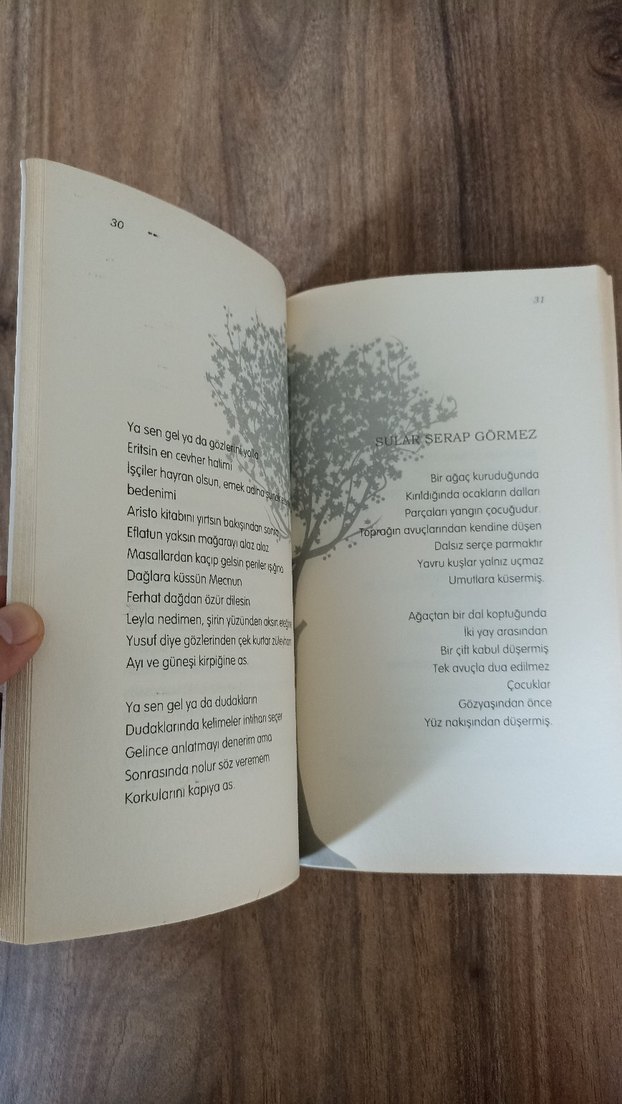 Az Şiir - Özkan Özgür - Görsel 3