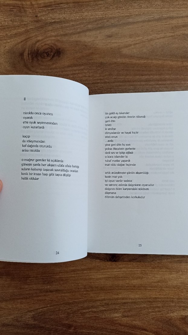 Göğekin - Umami Çiçek'in Anısına Roman - Görsel 3