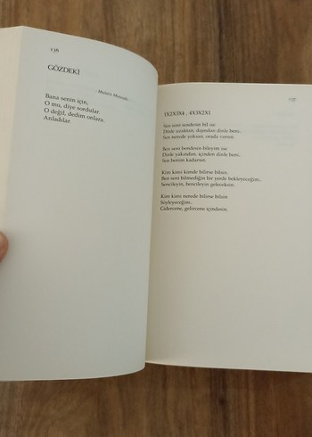 Özdemir Asaf - Çiçek Senfonisi - Görsel 3