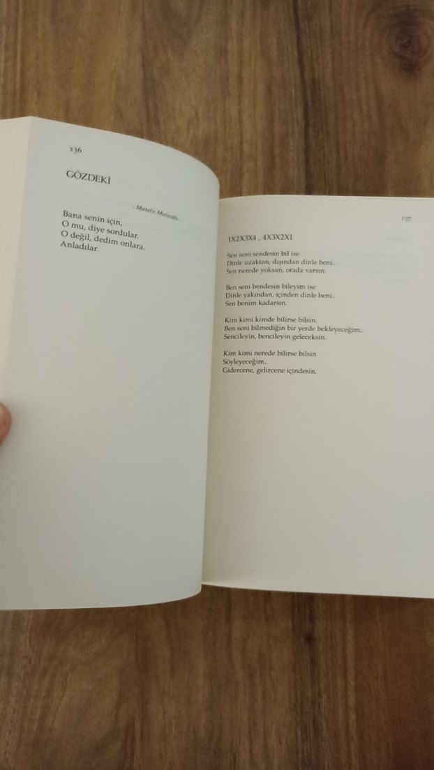 Özdemir Asaf - Çiçek Senfonisi - Görsel 3