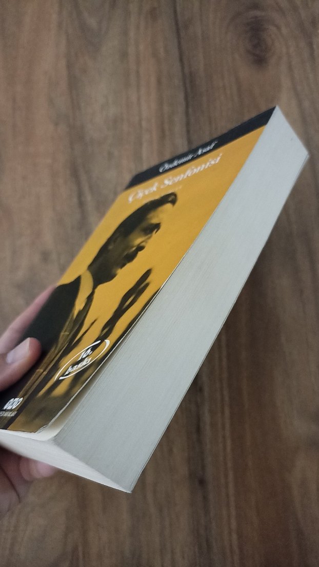 Özdemir Asaf - Çiçek Senfonisi - Görsel 4