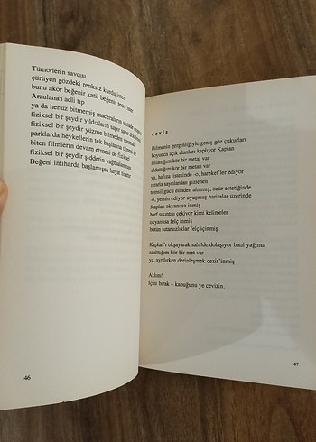 Teklifsiz Serseri - Küçük İskender - Görsel 3