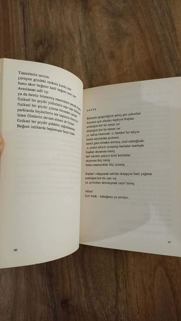 Teklifsiz Serseri - Küçük İskender - Görsel 3