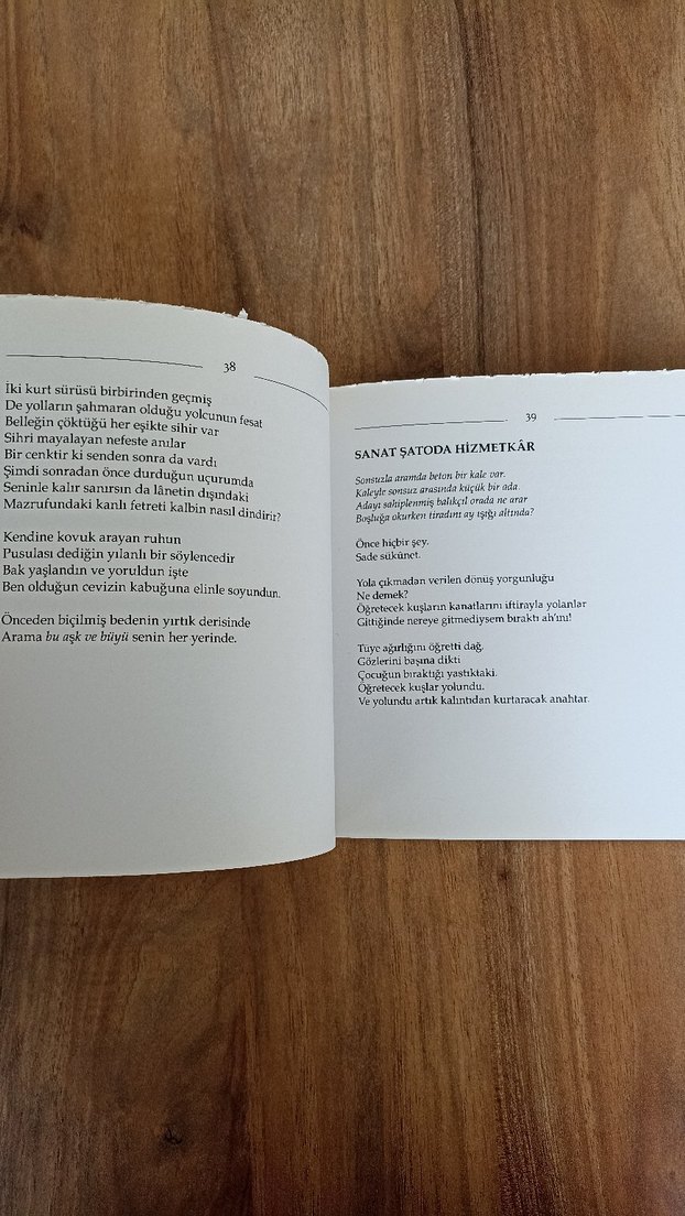 Özenle Unutulmuş Parçalar - Azad Ziya Eren - Görsel 3