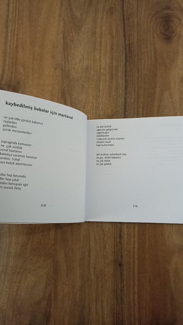 Eski Zaman Sözleri - Metin Dikeç - Görsel 3