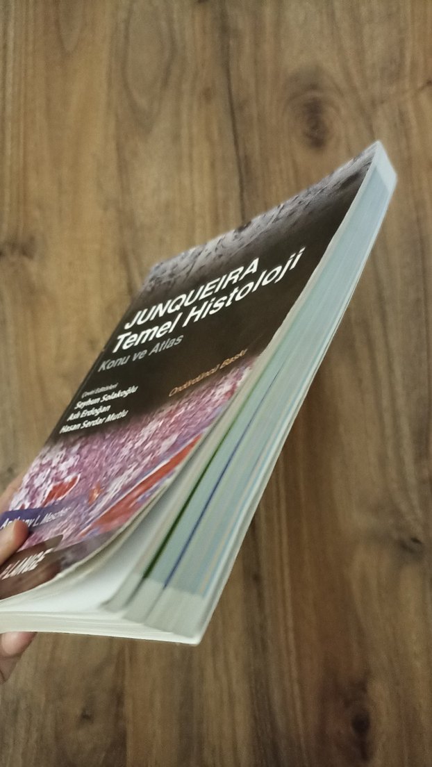 Junqueira Temel Histoloji Konu ve Atlas - Görsel 4