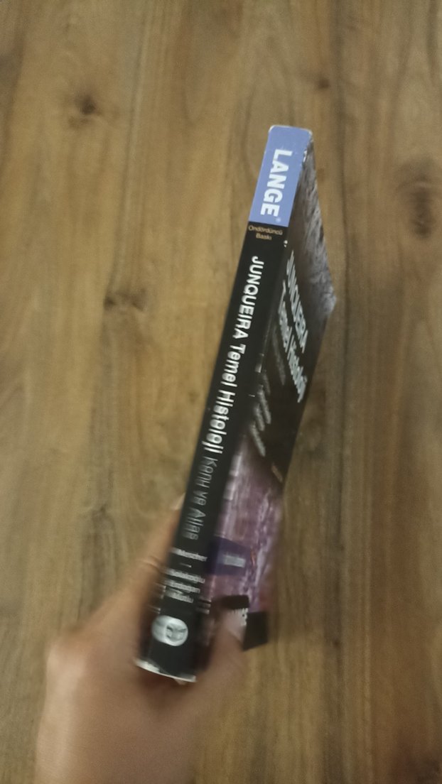 Junqueira Temel Histoloji Konu ve Atlas - Görsel 5