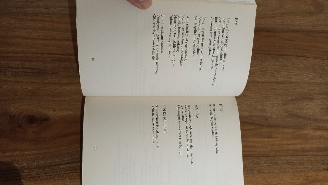 Özdemir Asaf - Dokuza Kadar On Kitabı - Görsel 3